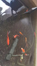 森森（SUNSUN）魚池過(guò)濾器魚缸過(guò)濾桶水池循環(huán)設(shè)備池塘過(guò)濾系統(tǒng) CPF適合2立方水過(guò)濾套餐【帶水泵全套】 曬單實(shí)拍圖