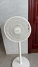 長(cháng)虹（CHANGHONG）電風(fēng)扇落地扇家用立式機械電扇臺扇搖頭電扇空氣循環(huán)風(fēng)扇CFS-LD3016T 曬單實(shí)拍圖