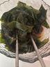 大連 鮮海帶 裙帶菜 海帶嫩苗兒童海白菜 海藻菜 鹽漬裙帶菜葉500g 曬單實(shí)拍圖