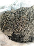 竹將活體青蚯蚓活餌鮮活特大黑蚯蚓釣黃鱔餌料臭蚯蚓釣魚昂刺誘餌 中號1斤 曬單實(shí)拍圖