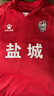 江蘇省城市足球聯(lián)賽主場球迷上衣“蘇超”官方卡爾美球服T恤短袖 鹽城主場-僅上衣 L 曬單實拍圖