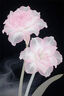1號(hào)會(huì)員店（One's Member）玻尿酸保濕潤(rùn)膚面膜  1盒裝（5片） 曬單實(shí)拍圖