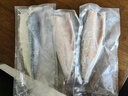 賣魚七郎原切國(guó)產(chǎn)青花魚片凈重3斤 冷凍鯖魚片胎鲅魚青占魚 海鮮生鮮魚類 曬單實(shí)拍圖