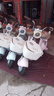 雅迪【王鶴棣同款】摩登光芒70-M 電動(dòng)輕便摩托車(chē)復(fù)古成人通勤代步長(zhǎng)續(xù)航智能電動(dòng)車(chē)【門(mén)店自提】 顏色到店自選 曬單實(shí)拍圖