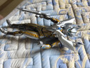 哥莫拉SHF SHFiguarts初代古代怪獸  Gomora 兒童禮物玩具手辦 SHF終極閃耀賽羅+支架 標準 曬單實(shí)拍圖