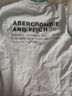 ABERCROMBIE & FITCH【經(jīng)典LOGO】男裝25夏新款美式復(fù)古重磅圓領(lǐng)短袖T恤KI123-5029 淺麻灰色 S (175/92A) 曬單實(shí)拍圖