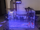 尼特利水族時光原生溪流缸魚缸燈筒燈led全光譜水草燈爆藻燈植物生長燈 60W標準款黑色支架套裝 曬單實拍圖