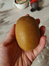 佳沛（zespri）新西蘭 陽光金奇異果12粒禮盒特大果單果約122-146g 獼猴桃 水果 曬單實(shí)拍圖