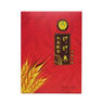 時(shí)時(shí)養 小麥胚芽粉即食營(yíng)養早餐新疆特產(chǎn)天然原味膳食纖維谷物 即沖即飲 原味 480 曬單實(shí)拍圖