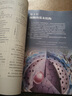 新華正版高一上冊課本全套人教部編版高中語文數(shù)學英語物理化學生物政治歷史地理必修一1第一冊高中上冊課本全套 高一上冊全套9本人教版 曬單實拍圖