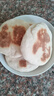 九陽(yáng)（Joyoung）家用電餅鐺鍋 三明治機(jī)早餐機(jī)煎烤機(jī)電火鍋  60mm加深烤盤(pán) 一級(jí)不粘抗菌 多功能烙餅炒烤肉鍋GK200 曬單實(shí)拍圖