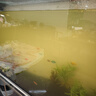 馬遜水草泥1L魚缸造景水草缸底砂免洗水藻泥生態(tài)魚缸專用水草泥 強(qiáng)肥優(yōu)質(zhì)水草泥【20斤】免清洗 曬單實(shí)拍圖