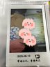 富士（FUJIFILM）3寸拍立得相紙mini7/9/11/12/25/40/90/EVO/SE白邊彩邊迷你膠 通用白邊（盒裝及錫紙裝隨機發(fā)） 拍立得相紙【10張】 曬單實拍圖