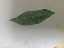 蘇泊爾（SUPOR）迷你電飯煲家用電飯鍋2-3人3L小容量藍(lán)鉆不粘內(nèi)膽快煮飯功能智能預(yù)約小型多功能30FC0187 曬單實(shí)拍圖
