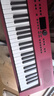 羅蘭（Roland）GOKEYS電子琴61鍵初學(xué)者成人兒童老年人專(zhuān)業(yè)考級琴家用便攜 GO:KEYS3 深紅色+大禮包 曬單實(shí)拍圖