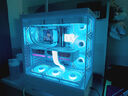 華碩 9800x3d主機(jī) RTX5070ti 顯卡主機(jī) 5080 華碩rog全家桶 5070主機(jī)DIY游戲臺(tái)式組裝電腦補(bǔ)貼整機(jī) R7 9800X3D+RTX5070ti丨四 曬單實(shí)拍圖
