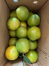 集年鮮湖北夏橙當季新鮮水果現摘現發(fā)節(jié)日送禮生鮮 品鑒裝凈重4.5斤（單果60-65mm） 曬單實拍圖