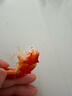 海仙津九節蝦干即食大蝦干烤蝦干對蝦干特大斑節蝦干大烤蝦海產(chǎn)干貨 【大號款】九節蝦干250g 35-45只 曬單實(shí)拍圖