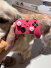 XBOX微軟Xbox Series S/X無線手柄 XSS XSX黑神話悟空 藍牙手柄PC電腦Elite 精英版手柄二代 iOS 平板 Xbox手柄【玫紅粉+充電組+適配器】 曬單實拍圖
