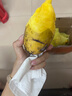 壹萌果蔬金煌芒芒果 當(dāng)季現(xiàn)摘廣西大芒果新鮮水果青皮芒果整箱送禮 5斤精品果【單果150g+】 凈4.5斤 曬單實(shí)拍圖