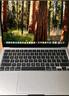 Apple/蘋(píng)果【國(guó)家補(bǔ)貼】AI筆記本/2025款MacBookAir13英寸M4(10+10核)16G 512G 星光色電腦MW103CH/A 曬單實(shí)拍圖