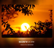 索尼（SONY）E 70-350mm F4.5-6.3 G OSS APS-C畫(huà)幅超遠(yuǎn)攝變焦G鏡頭 SEL70350G 曬單實(shí)拍圖