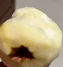 京鮮生 山西紅啤梨 凈重4.5斤 單果重130g+ 新鮮水果 源頭直發(fā) 曬單實(shí)拍圖