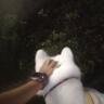 麥富迪狗糧 乖寶樂狗糧幼犬通用均衡營養(yǎng)（牛肉蛋黃）10kg/20斤 曬單實拍圖