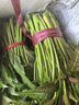 香椿芽新鮮葉菜頭茬紅油嫩芽露天冷鏈現貨3斤當季野菜春芽香椿菜 優(yōu)選香椿芽3斤裝 曬單實(shí)拍圖