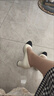 百麗（Belle）高跟鞋女粗跟商場(chǎng)同款氣質(zhì)通勤百搭高跟單鞋B2E1DAQ4 杏色 36 (230mm) 曬單實(shí)拍圖