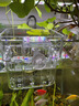 魚(yú)缸水培植物籃家用水草種植杯壁掛式挺水植物定植籃魚(yú)缸造景裝飾 水培定植籃【2個(gè)裝8*5.7cm】 曬單實(shí)拍圖