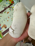 貝比寶寶鞋子學(xué)步鞋夏季薄款透氣6到12月嬰兒鞋軟底室內(nèi)防滑地板鞋 曬單實(shí)拍圖