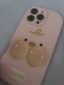 Apple【同款低價(jià)】蘋果16promaxiPhone16promax 16promax手機(jī)美版無鎖 16promax白色鈦金屬6.9寸 256GB【標(biāo)配】 曬單實(shí)拍圖