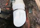 百蒂安50/75/110/160pvc排水管防臭止逆閥管排水口化糞池排污水管止回閥 160mm防臭器送卡箍橫管安裝 曬單實拍圖