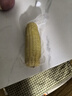 京鮮生 東北白糯玉米230g*8棒 新鮮甜糯玉米棒真空包裝粘玉米 源頭直發(fā) 曬單實拍圖