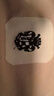 雅戈爾（YOUNGOR）短袖POLO衫男翻領扁機領長絨棉水柔棉柔軟親膚POLO衫 粉紅 XL 曬單實拍圖