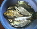 岡原精工（OKABARA SEIKO）日本進(jìn)口碳素超輕硬釣竿手竿魚(yú)竿競(jìng)技野釣十大輕量綜合桿品牌新款 8.1m +原裝竿稍+竿包+禮包 曬單實(shí)拍圖
