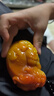 黃龍玉超大霸氣母子貔貅手把件庫(kù)存低價(jià)處理如不喜歡請(qǐng)聯(lián)系客服 （高品質(zhì)）貔貅送手把件繩子 曬單實(shí)拍圖
