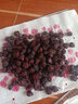 猛世烘干機(jī)食品干果機(jī)商用水果脫水機(jī)風(fēng)干機(jī)辣椒寵物零食藥材肉干臘肉蔬菜干烤機(jī)茶葉 8層觸屏款丨烘干12～18斤 曬單實(shí)拍圖