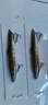 熊火路亞假餌仿生泥鰍遠投淡水翹嘴鱸魚(yú)桂魚(yú)鱖魚(yú)專(zhuān)用餌 多節泥鰍20克兩只裝專(zhuān)殺翹嘴鱸魚(yú) 曬單實(shí)拍圖