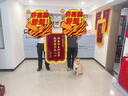 森馬（Semir）休閑褲男秋寬松弧形彎刀褲25長(cháng)褲垂感松弛感抽繩褲子10A525127102 曬單實(shí)拍圖