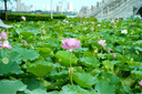 松下（Panasonic）Lumix G100D M43畫幅相機(jī) M43卡口 微單相機(jī) 無反數(shù)碼相機(jī) G100D+【12-60+25F1.7】雙白盒套裝 曬單實(shí)拍圖