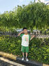 史努比（SNOOPY）童裝男童速干套裝兒童涼爽運動(dòng)服學(xué)生短袖T恤短褲休閑服夏季薄款 曬單實(shí)拍圖