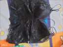 浪莎（LangSha）品牌抖音性感蕾絲吊帶背心女加厚胸墊免穿文胸外穿內(nèi)搭款美背內(nèi)衣 黑色[單件裝固定胸墊] M 建議80-120斤 曬單實(shí)拍圖