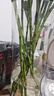 呂姆克花瓶擺件防摔亞克力透明醒花桶塑料大號(hào)高款鮮花插花假花容器7688 曬單實(shí)拍圖