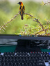 聯(lián)想（Lenovo）商用臺式機電腦 十二代英特爾處理器G6900 商用辦公臺式電腦組裝整機全套 主機+23.8英寸高清顯示器(萊茵護眼屏) 【推薦】來酷 酷睿旗艦i5 16G 512G固態(tài) 曬單實拍圖