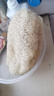 Jidaocook天然絲瓜絡(luò )批發(fā)廚房洗碗絲瓜瓤洗碗布干絲瓜囊老絲瓜水瓜刷鍋神器 【10厘米原色段】無(wú)掛繩 5只裝/推薦囤貨【下單送掛鉤】 曬單實(shí)拍圖