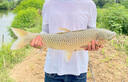 沃鼎王朝系列·漢極輕大物竿釣魚竿手桿超輕超硬臺釣竿7.2m  6H 曬單實拍圖
