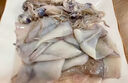 野生海捕墨魚章魚 八爪魚帶籽筆管魷魚 無污染海兔子 軟足類 八爪魚 1斤(凈重)  1斤 曬單實拍圖