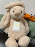 Jellycat致臻害羞羅莎維洛邦尼兔動(dòng)物毛絨玩偶安撫送禮娃娃生日禮物520 害羞維洛邦尼兔 H31 X W12 CM 曬單實(shí)拍圖